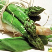 asperges racines