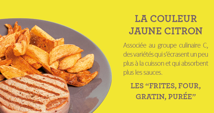 carre de jardin bandeau frite