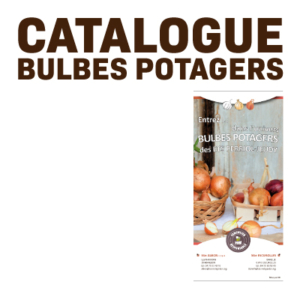 Bulbes potagers ets perriol jeudy catalogue 2023-2024