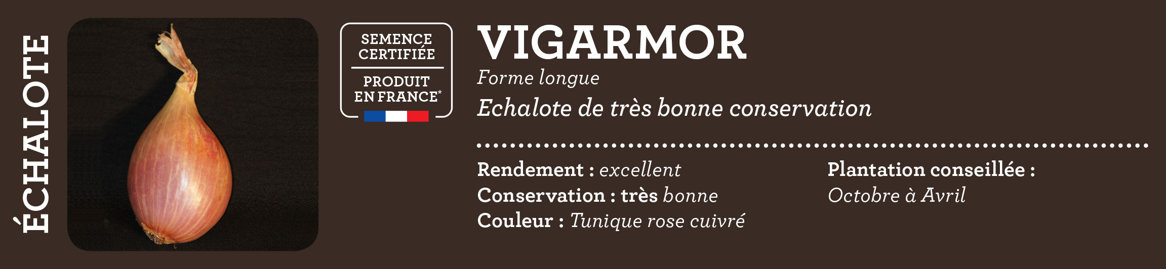 Carre de jardin bulbe potager etiquette vigarmor