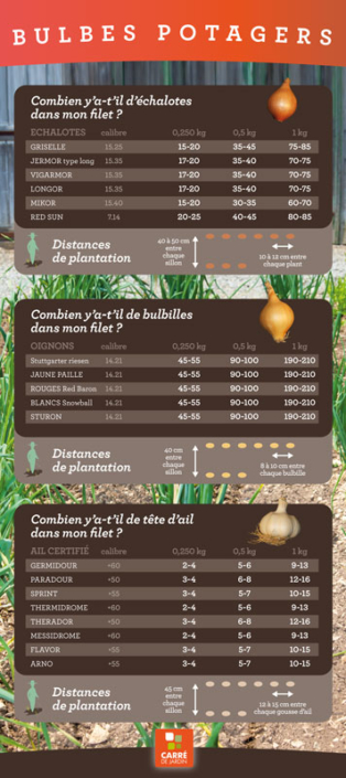 carre de jardin bulbe potager panneau informations