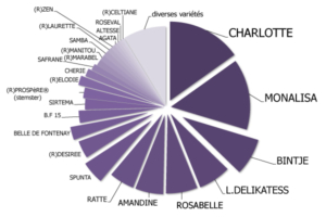 chiffres variétés semence de pomme de terre ets perriol jeudy