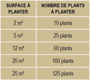 pommedeterre_conseil_plantation_plants