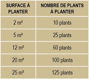 pommedeterre_conseil_plantation_plants