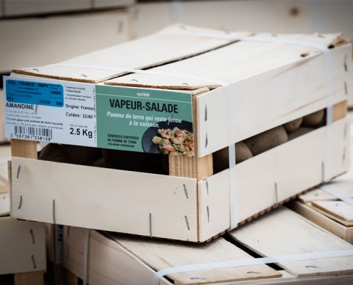 semene de pomme de terre emballage caisse 2.5kg nouveauté ets perriol