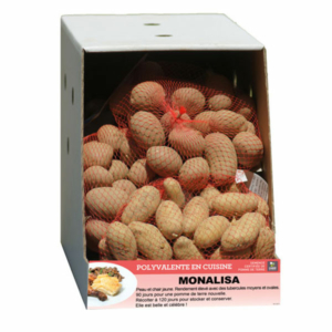 Emballage carton distributeur semence de pomme de terre polyvalente en cuisine