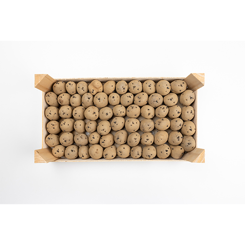 Conditionnement pomme de terre clayettes dressées