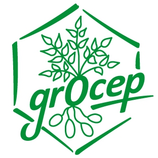 grocep logo