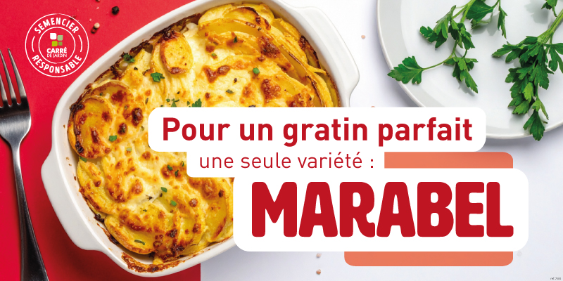 panneaux-cuisine_gratin Panneau spécial gratin de pomme de terre - marabel