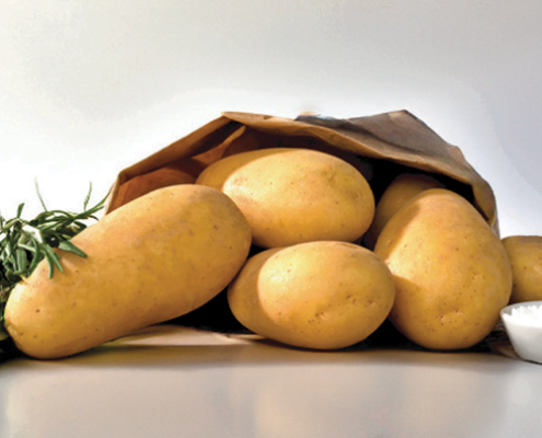 Plant de pomme de terre Allians