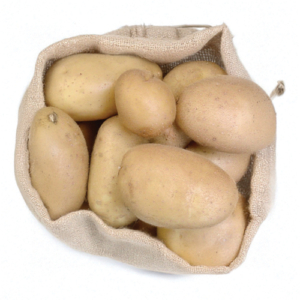 Plant de pomme de terre Elodie