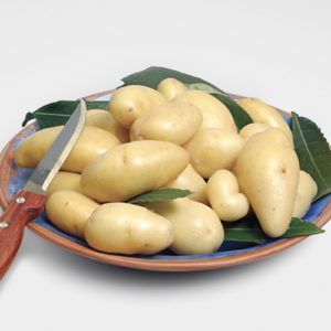 Plant de pomme de terre Linzer Delikatess