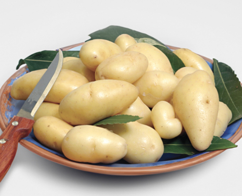 Plant de pomme de terre Linzer Delikatess