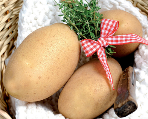 Plant de pomme de terre Lirresistible