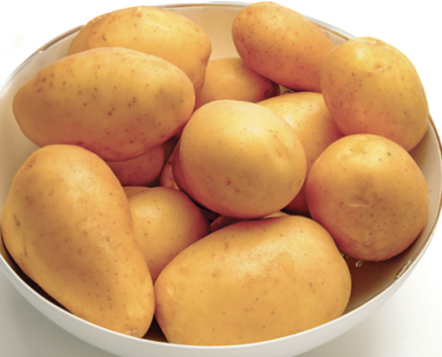 pomme de terre polyvalente en cuisine carre de jardin ets perriol marabel semence