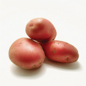 Plant de pomme de terre Prospere (variété Stemster)