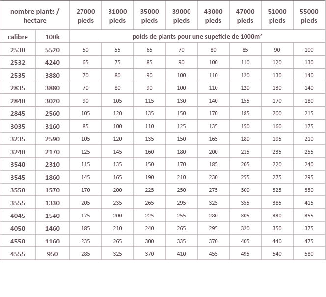 Tableau quantité de plant par hectare