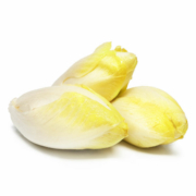 Racine d'endive clayette carre de Jardin